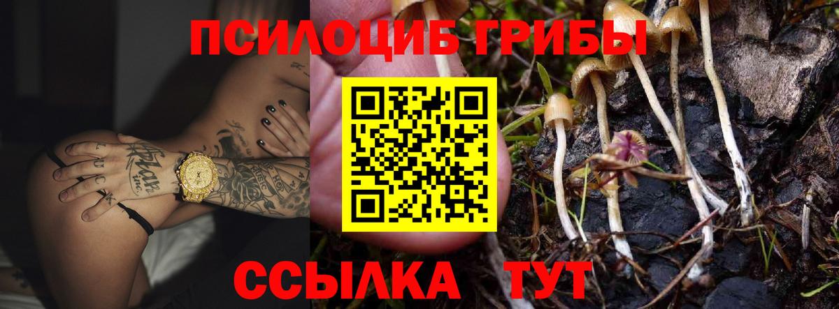 Галлюциногенные грибы Magic Shrooms Ликино-Дулёво